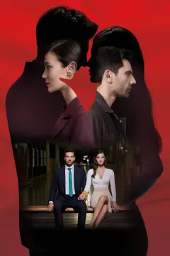 قضاوت
